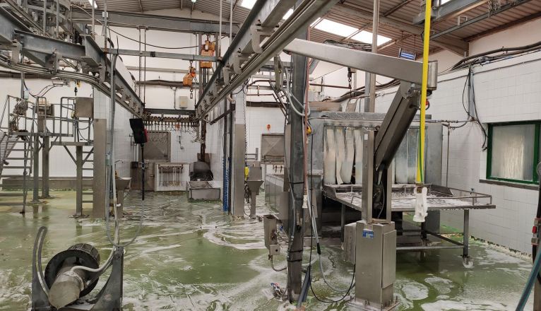 Los sacrificios de animales en el Matadero Insular de Lanzarote registran mínimos históricos