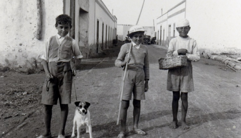 Nuevas colecciones de fotografías y vídeos para el fondo de Memoria Digital de Lanzarote