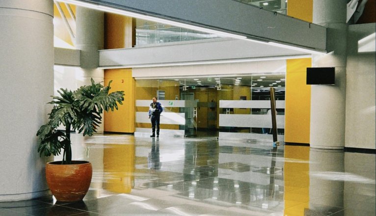 Lanzarote cerró 2025 con casi 70 empresas más: destacan transporte, hostelería y arte